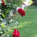 Chroussa וילה Chrousa
